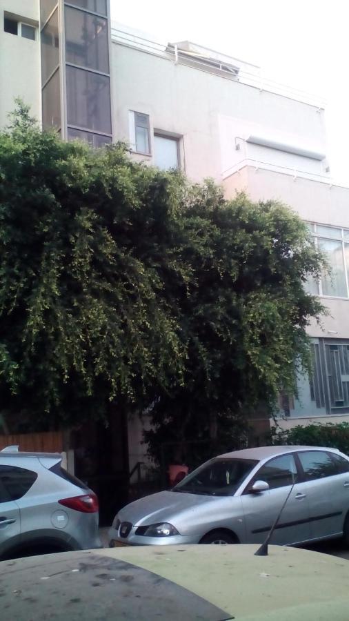 Wonderful Garden